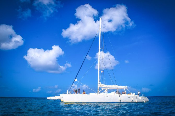 Full-Day Excursion in Saona Island - Food, language, and group organization