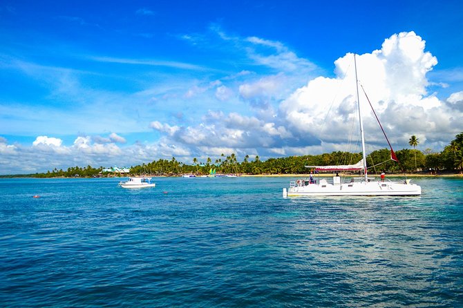 Full-Day Excursion in Saona Island - Should you book the Saona Island day trip?