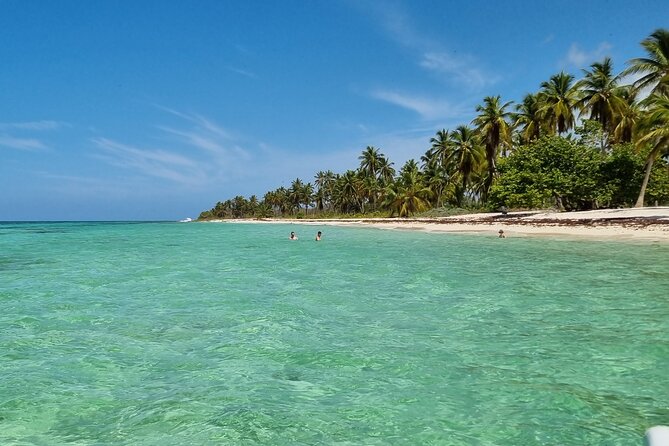 Full Day Island Tour in Isla Saona from Punta Cana - What the $68 price really includes