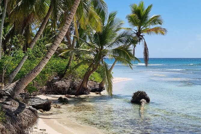 Full Day Island Tour in Isla Saona from Punta Cana - Who should choose this Saona excursion?