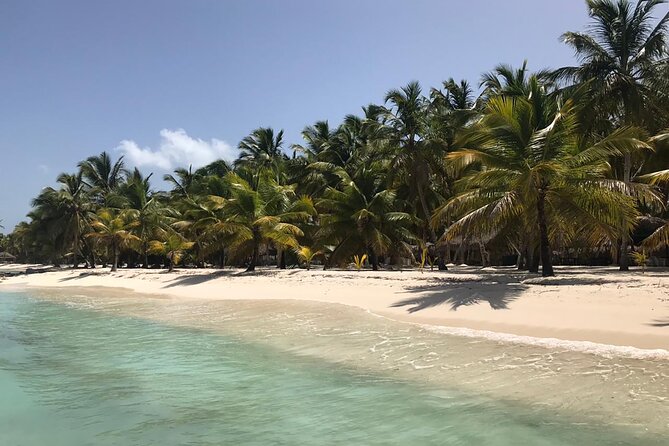 Full-Day Saona Island Escape – Beaches, Adventure, Paradise Vibes - Fast boats, catamarans, and the route to the island