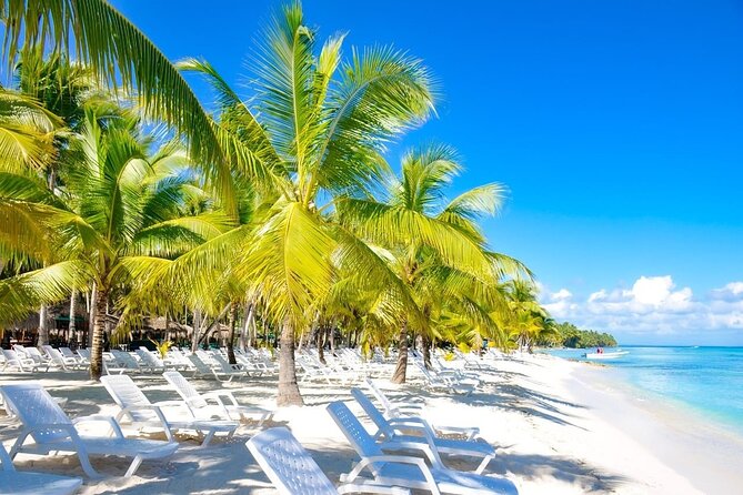 Full-Day Saona Island Escape – Beaches, Adventure, Paradise Vibes - The early Punta Cana pickup sets the pace