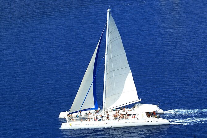 Full-Day Saona Island Tours All Inclusive - Practical details that affect the decision