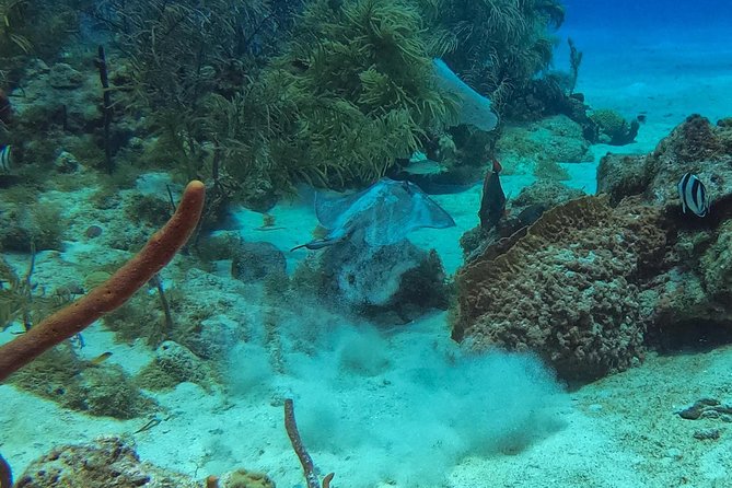 Full-Day Scuba Diving Catalina Island Tour from Bavaro - The speedboat Eileen to the private beach