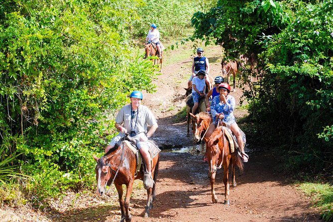 Full Day Supreme Safari Punta Cana - Riding the Open Safari Truck