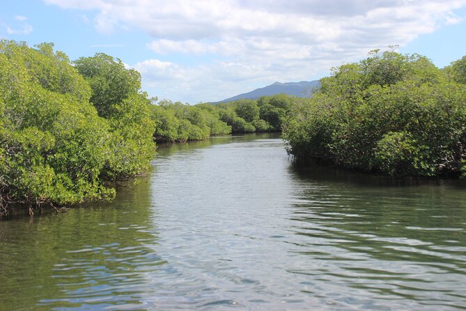 Full-Day Tour Isla Bonita Deluxe - Punta Rucia provides the meal and a slower beach pause