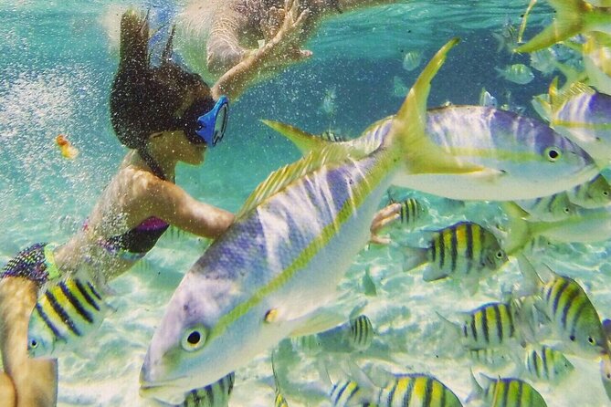 Full-Day Tour Isla Bonita Deluxe - Is $160 a fair price?