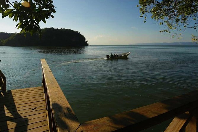 Full-Day Tour of Cayo Levantado and Los Haitises National Park - The guide and group size