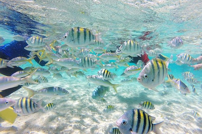 Full-Day Tour to Punta Rucia and Cayo Arena with Snorkeling - Playa Ensenada and the speedboat crossing
