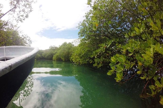 Full-Day Tour to Punta Rucia and Cayo Arena with Snorkeling - Three hours at Paradise Island