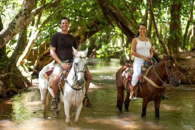 Full day tour to samana bay from punta cana - Cayo Levantado, the Bacardi Island beach stop