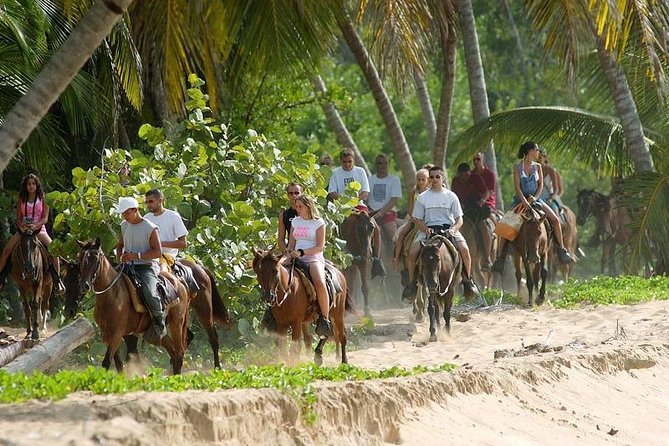 Full day tour to samana bay from punta cana - What the $145 price really covers