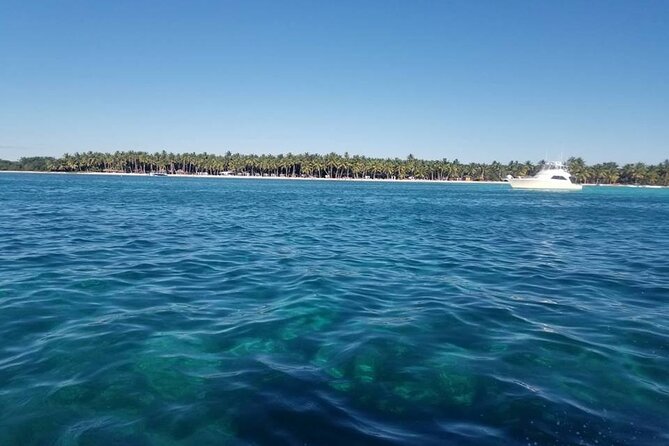 Full Day Tour to Saona Island by Catamaran and Speedboat - Beach massage and negotiating the price