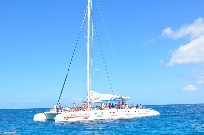 Full Day Tour to Saona Island by Catamaran and Speedboat - Who will enjoy this Saona Island trip