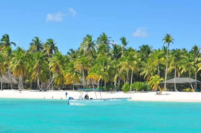Full Day Tour to Saona Island by Catamaran and Speedboat - Booking details, weather, and cancellation