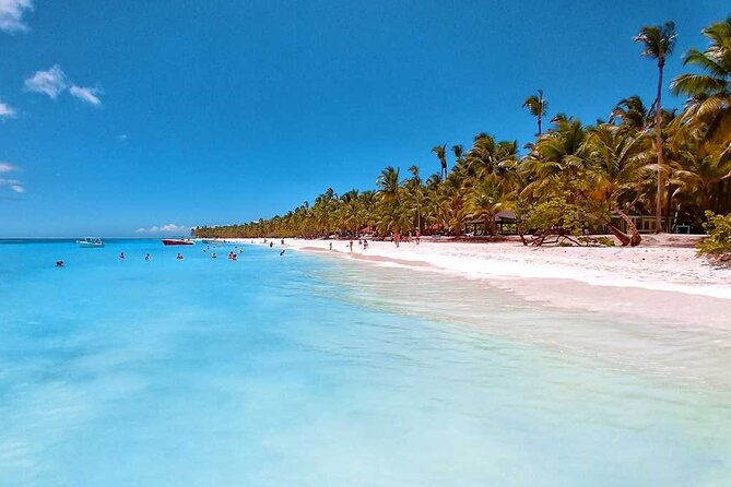 Full Day Tour to Saona Island by Catamaran and Speedboat - Four hours on Saona Island