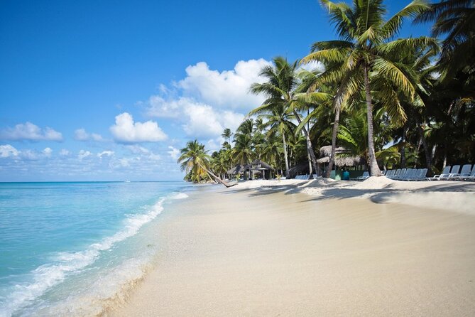 Full-Day Tour to Saona Island Sailing with Lunch and Beverages - Key points before you book
