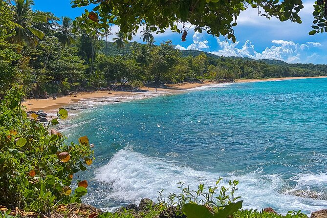 Full Day Tour to the Blue Lagoon and 7 Different Destinations - What This Puerto Plata Day Trip Really Includes