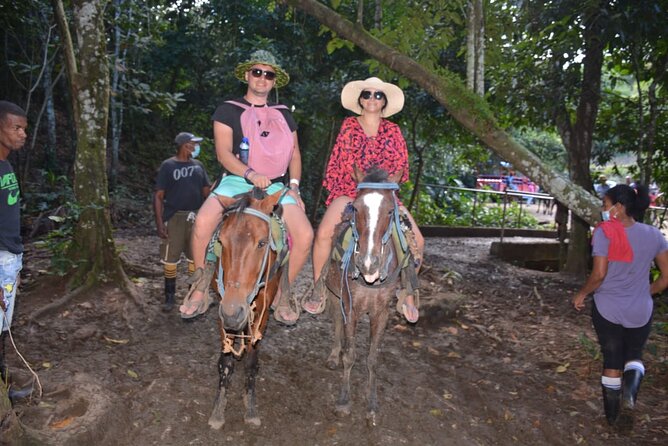Full-Day Trip to Limon Waterfall and Bacardi Island - The real cost is time, not extra fees