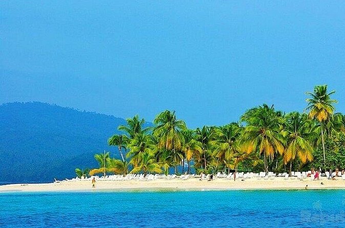 Full-day Whale watching Tour in Samana Bay from Punta Cana - Lunch at a Dominican ranch before the waterfall