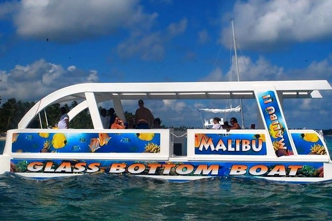 Glass Bottom Boat in Punta Cana - A glass-bottom view of Punta Cana’s reef life
