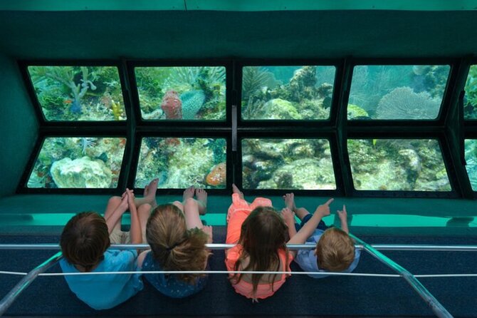 Glass-bottom boat tour to Punta Cana - Key points to know before booking
