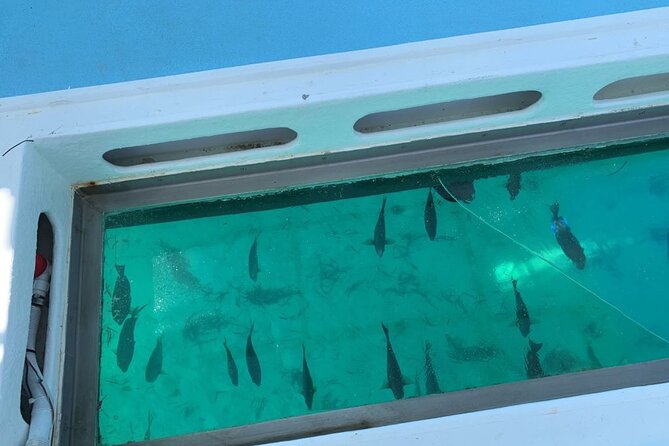 GlassBottom Catamaran with Slide - Drinks, fruit, appetizers, and music