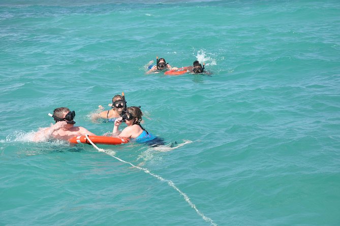 Great Snorkeling Cruise with Sharks & Stingray Encounter and Natural Pool - Swimming with nurse sharks and stingrays