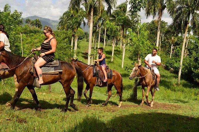 Guided Horseback Ride On The Beach With Pickup From Punta Cana - What the $47 price really covers