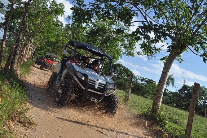 Guided Tour in Polaris (4X4) by Macao Beach, Taino Cave and Typical House - Swimming in Taino Cave
