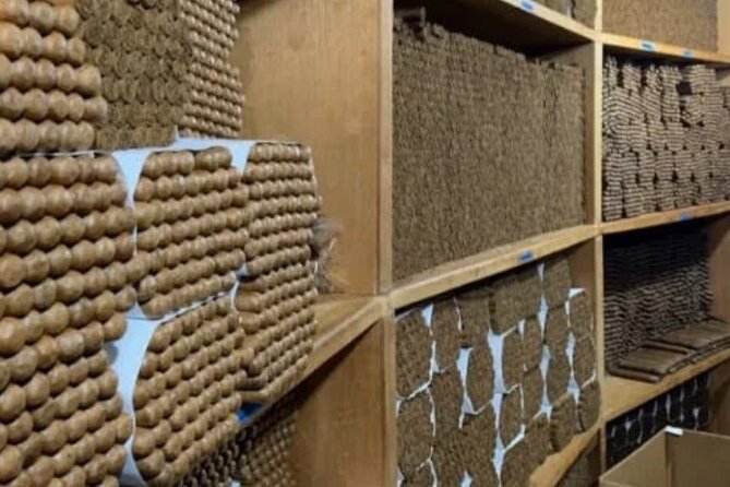 Guided Tour to Don Lucas Cigars Factory and Souvenirs Store - Who should book this experience