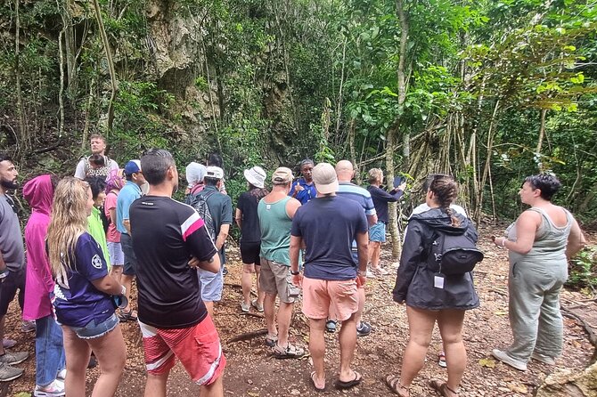 Haitises National Park with Paraiso Caño Hondo & Montaña Redonda - Who should book this $155 excursion?