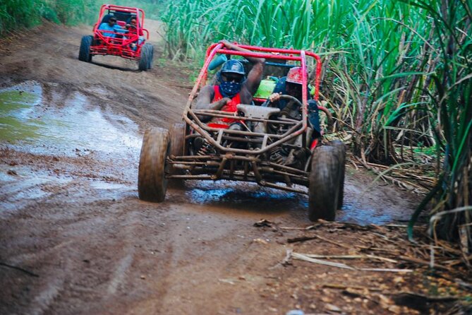 Half-Day ATV or Buggy 4X4 from Bayahibe - La Romana - Bateyes, sugar cane fields, and local life