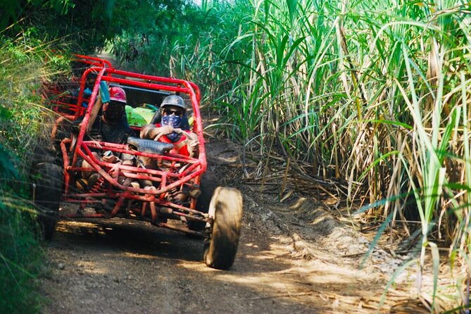 Half-Day ATV or Buggy 4X4 from Bayahibe - La Romana - Driving beside sugar cane fields