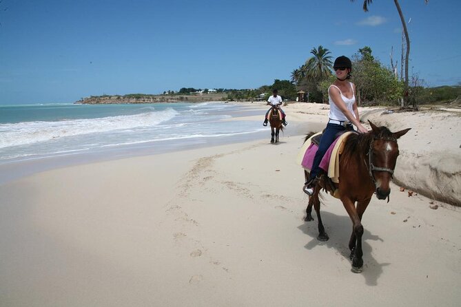 Half-Day Beach Horse Back Riding in Puerto Plata - A beach ride with a jungle approach