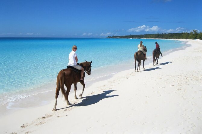 Half-Day Beach Horse Back Riding in Puerto Plata - Bergantin Beach brings the main reward