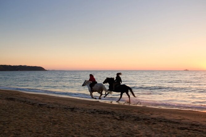 Half-Day Beach Horse Back Riding in Puerto Plata - Riding back takes about 30 minutes