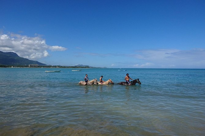 Half-Day Beach Horse Back Riding in Puerto Plata - Pickup areas and meeting point details