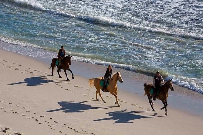 Half-Day Beach Horse Back Riding in Puerto Plata - The ride out takes about an hour