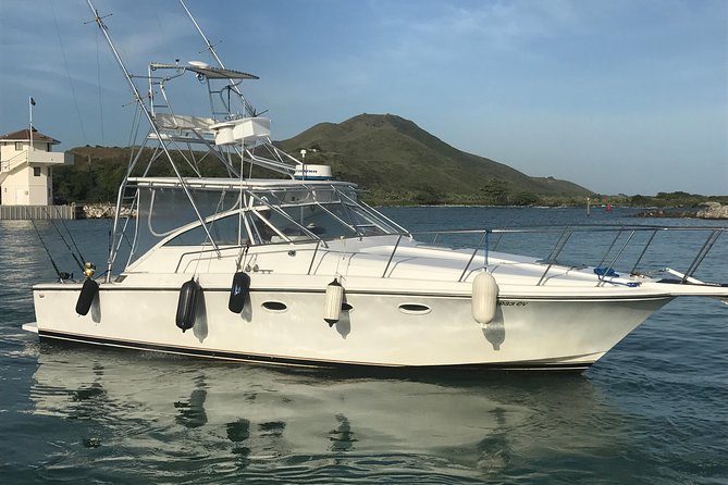 Half Day Big Game Fishing private charter - What the four hours look like on the water