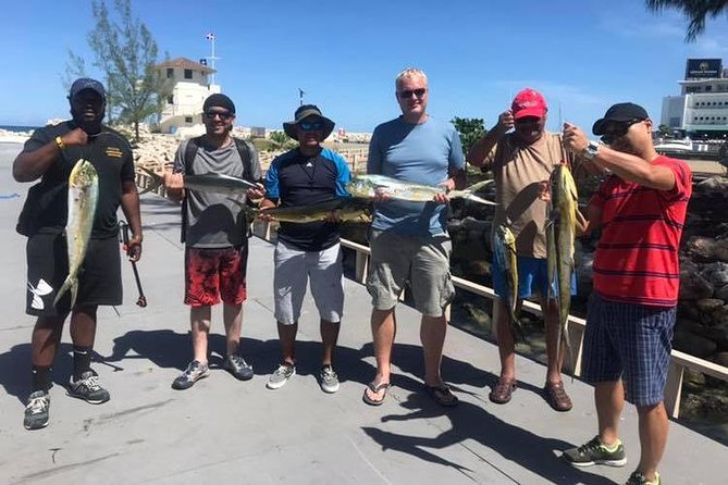 Half Day Big Game Fishing private charter - What you might catch, and what happens if you do not