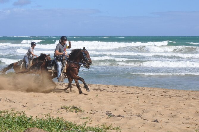 Half Day Buggies and Horseback Experience in Punta Cana - What this Punta Cana half-day adventure is really like