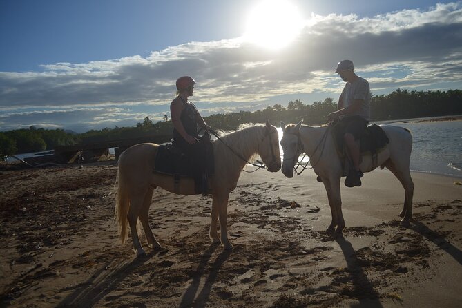 Half Day Buggies and Horseback Experience in Punta Cana - 7:30 am pickup and the road into the countryside
