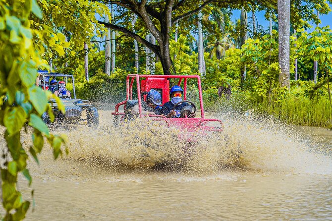 Half-Day Buggy Tour to Water cenote and Macao Beach in Punta Cana - Is $43.80 good value?