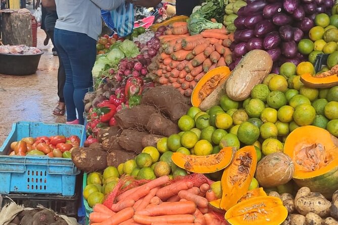Half-day City tour cultural from punta cana for small group - What makes this Punta Cana cultural tour worth considering