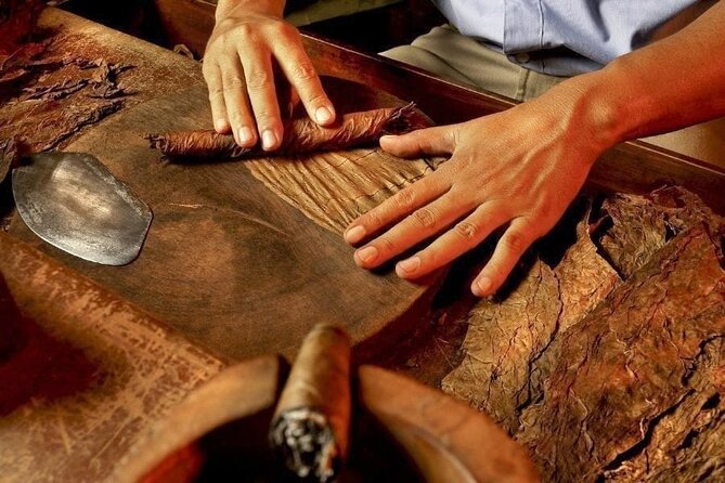 Half-Day Cultural Safari - Why this tour is worth considering beyond Punta Cana’s resorts