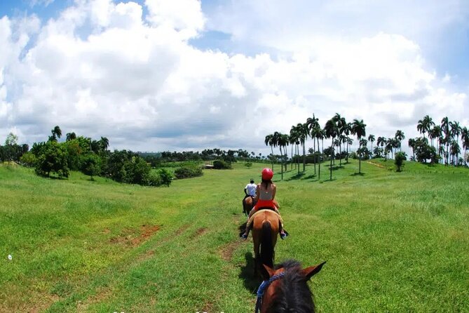 Half-Day Cultural Safari - Higüey city streets, market, and local culture