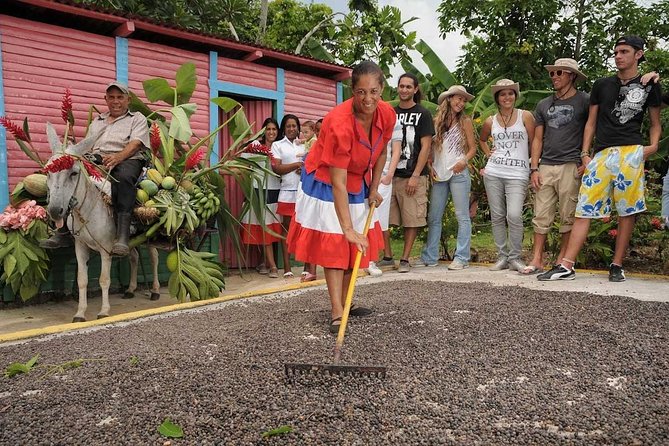 Half-Day Dominican Republic Safari Tour from Punta Cana - Three hours around Higuey and the countryside