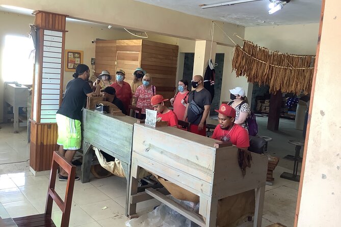 Half Day Private Tour in Dominican Republic with Local Guide - Sugar cane fields on the return drive