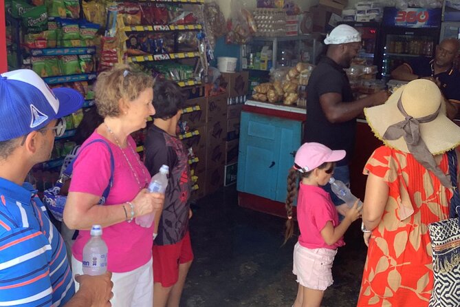 Half Day Private Tour in Dominican Republic with Local Guide - Souvenirs, paintings, and optional shopping
